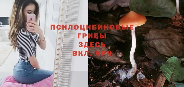 круглые Пестово