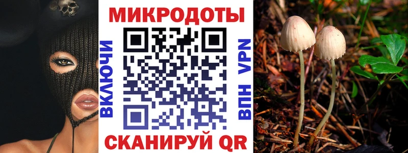 Псилоцибиновые грибы ЛСД  Балахна 