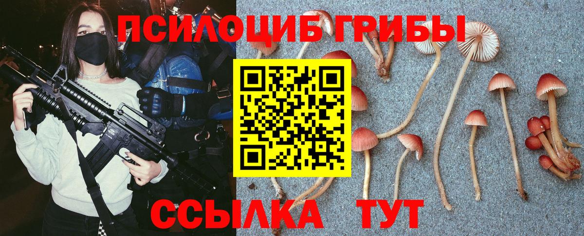 Псилоцибиновые грибы Psilocybine cubensis Балахна