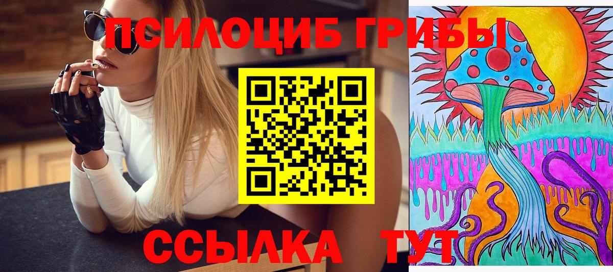 Галлюциногенные грибы Cubensis  Вход с VPN  Балахна 
