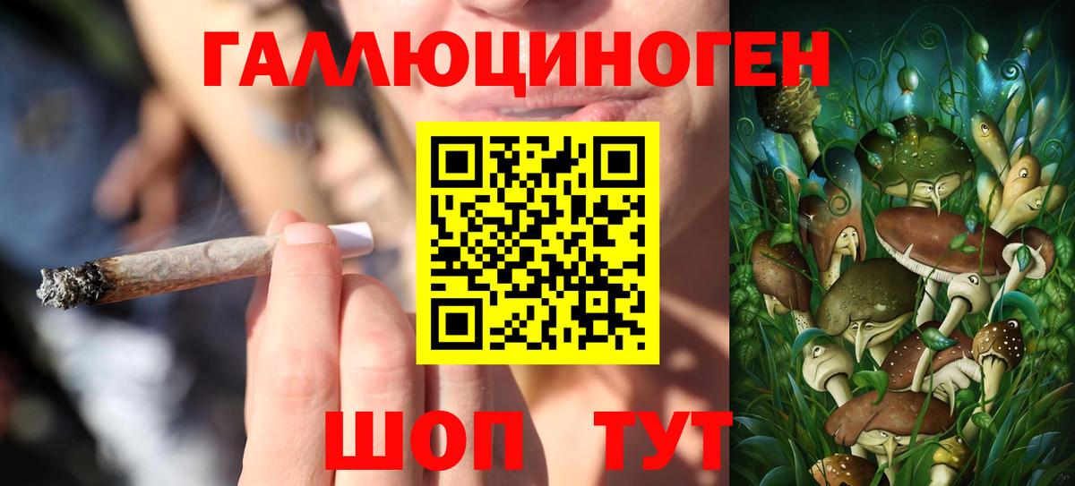 Псилоцибиновые грибы ЛСД  Балахна 