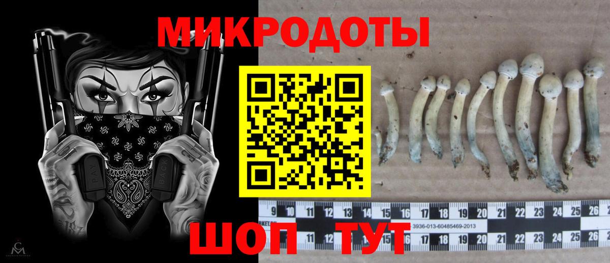 Псилоцибиновые грибы ЛСД Балахна